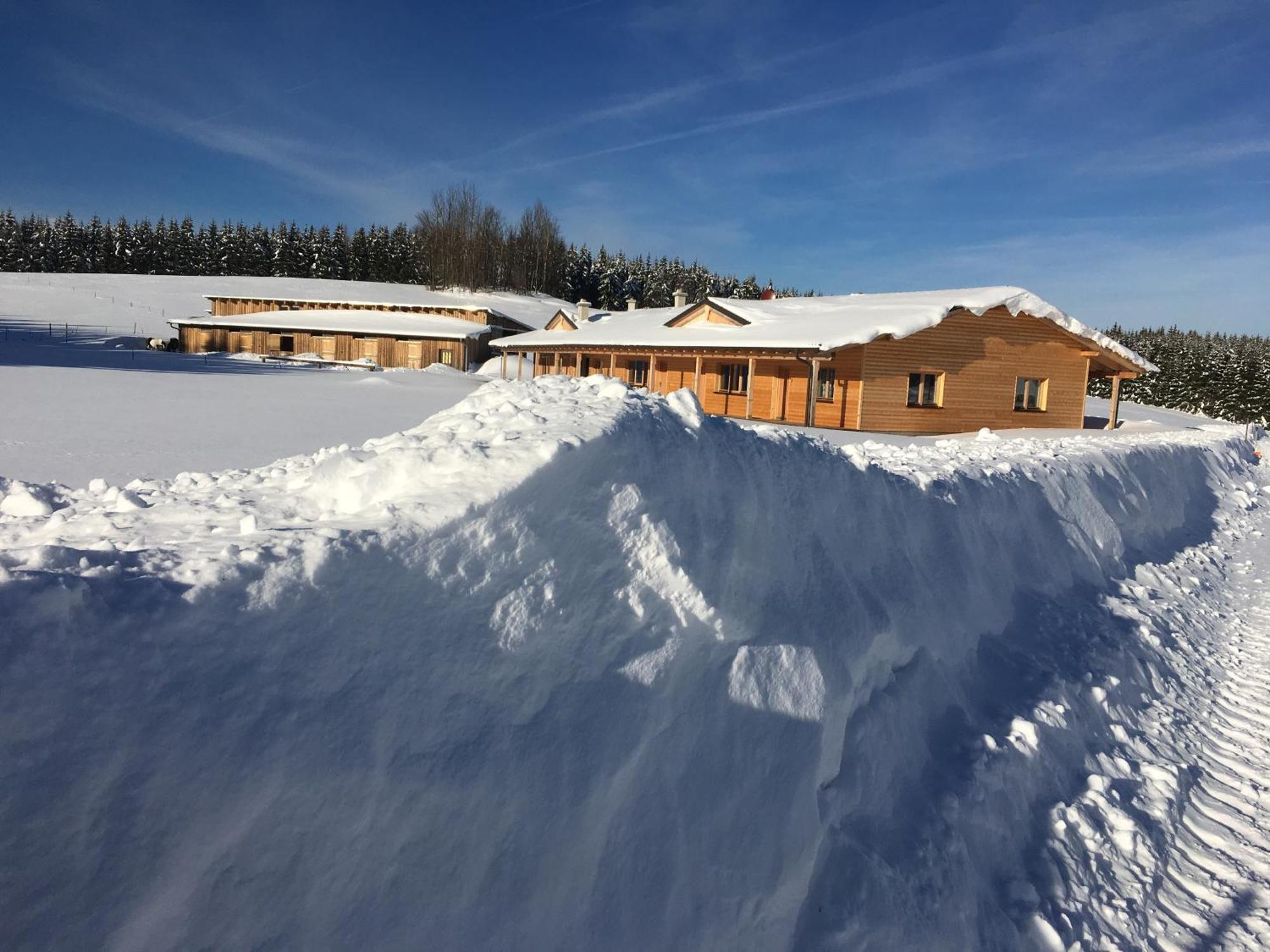 Bed and Breakfast Big Sky Ranch Liebenau  Exterior foto